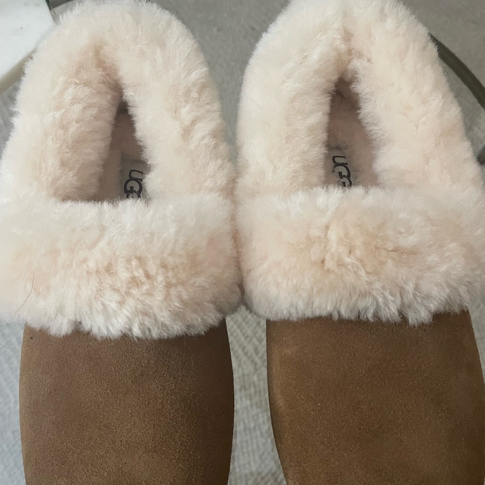 Ugg Slippers